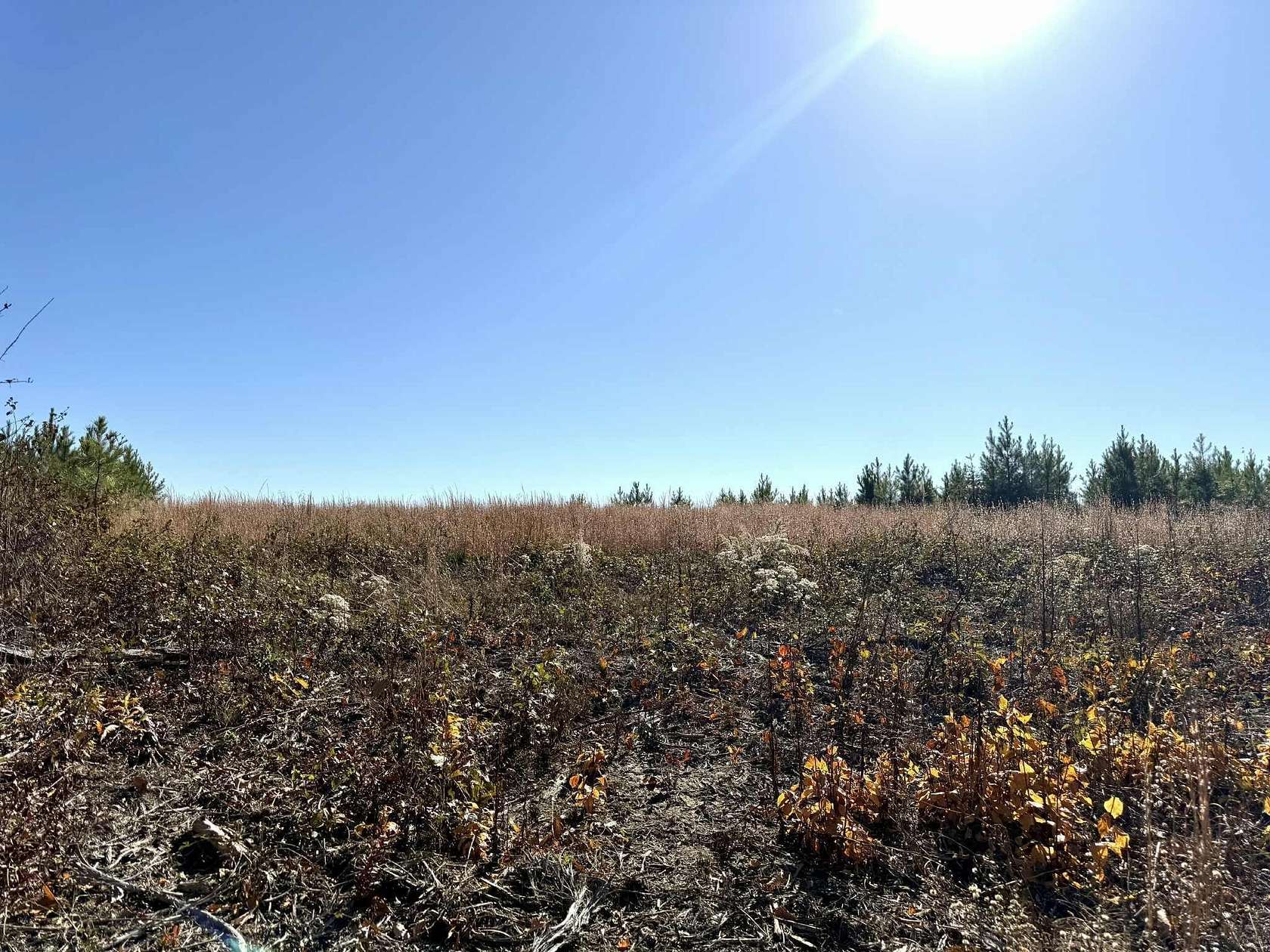 10 Acres of Residential Land for Sale in Dunlap, Tennessee