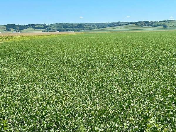 599 Acres of Improved Recreational Land & Farm for Auction in Onawa, Iowa