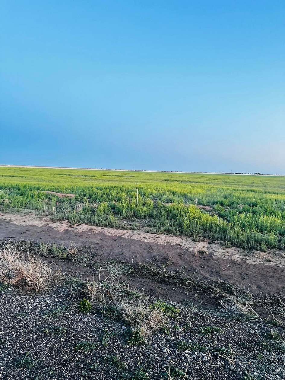 Land for Sale in Amarillo, Texas