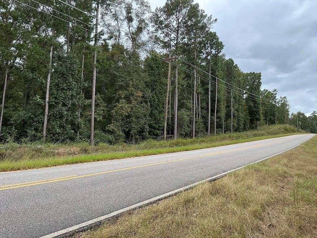 13 Acres of Recreational & Residential Land for Sale in Abbeville, Alabama