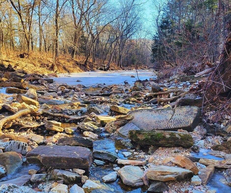 4.3 Acres of Land for Sale in Vanzant, Missouri