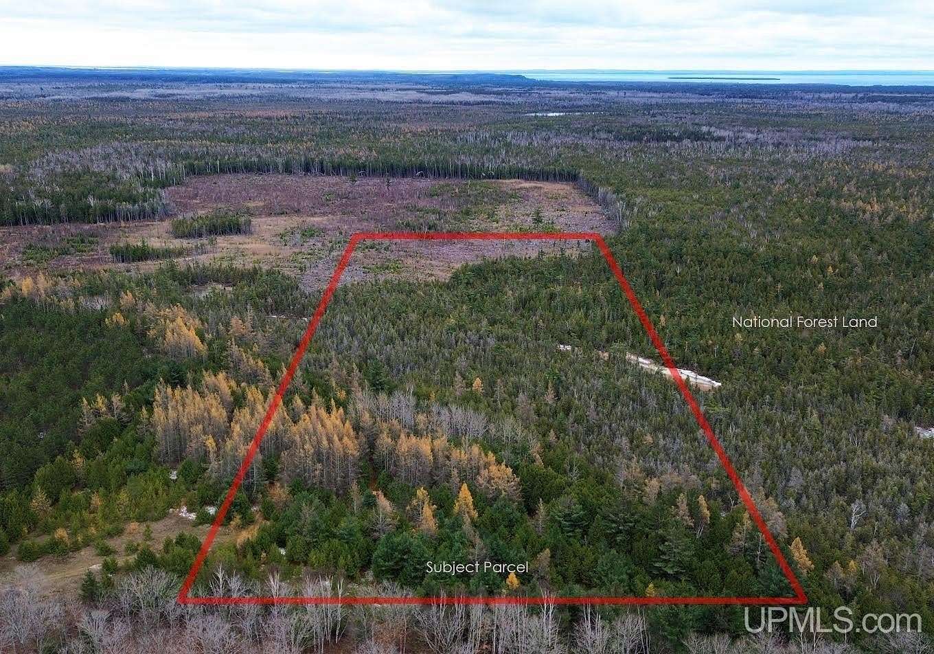 20 Acres of Recreational Land for Sale in Moran, Michigan