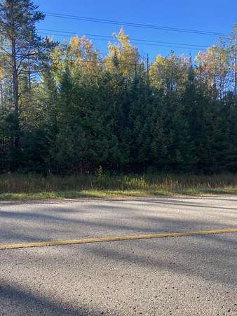 10 Acres of Land for Sale in Afton, Michigan