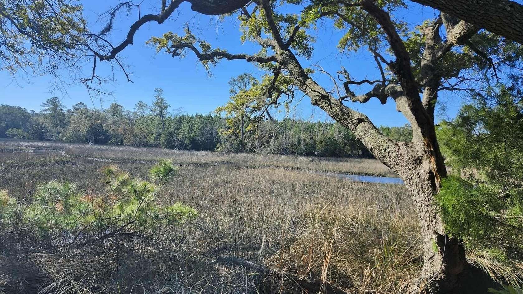 2.83 Acres of Residential Land for Sale in Johns Island, South Carolina