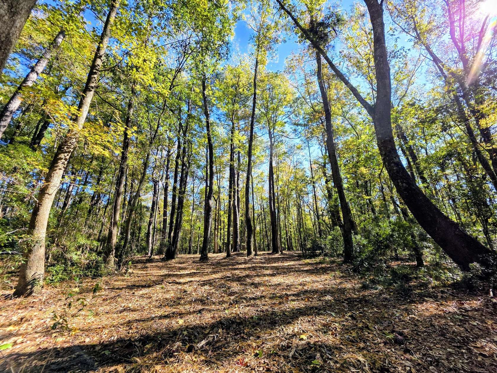 4.26 Acres of Residential Land for Sale in Johns Island, South Carolina