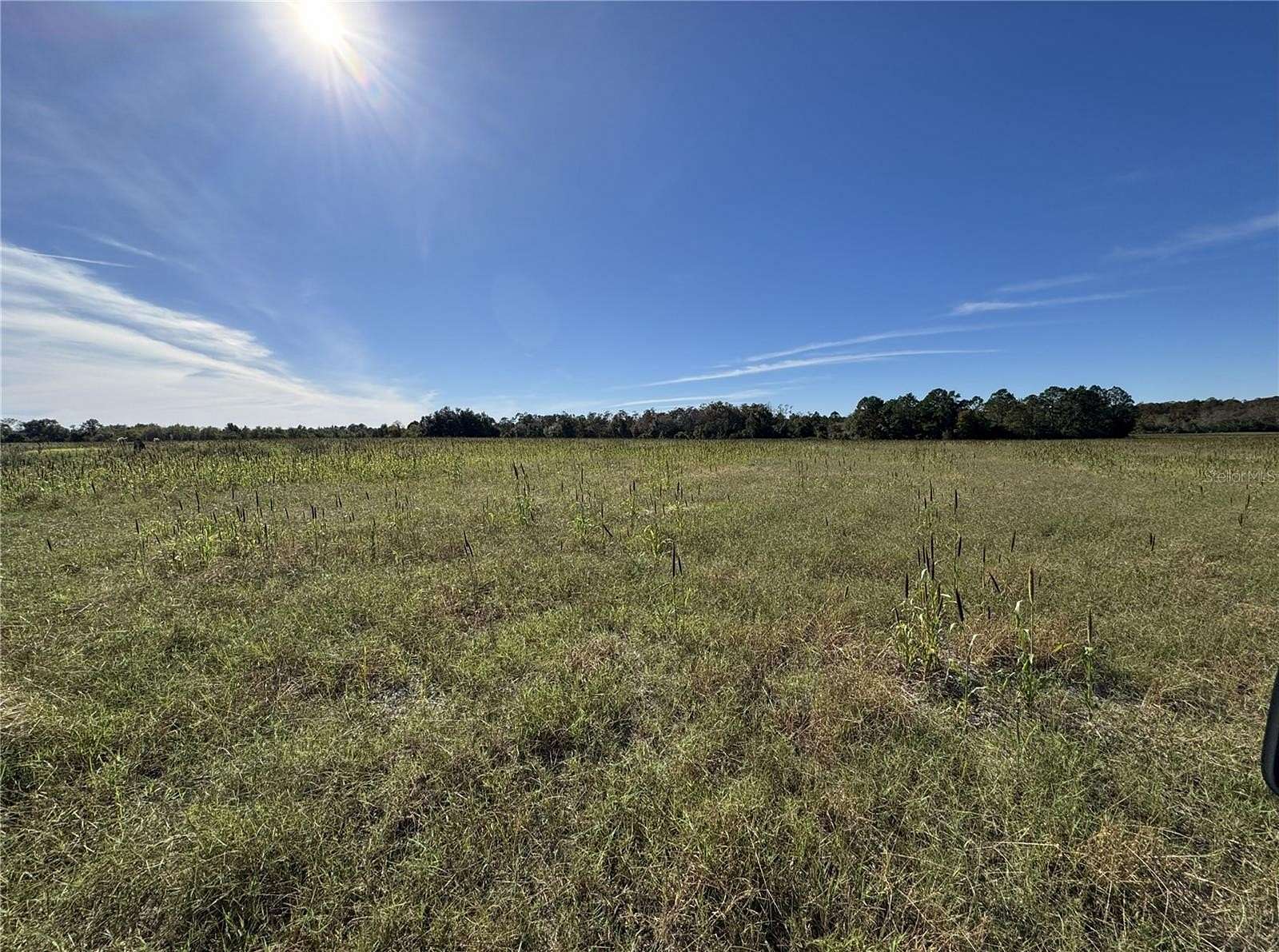 240 Acres of Recreational Land for Sale in Hawthorne, Florida
