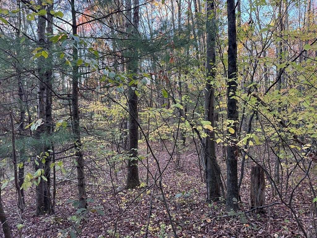 17 Acres of Recreational Land for Sale in Waverly, New York