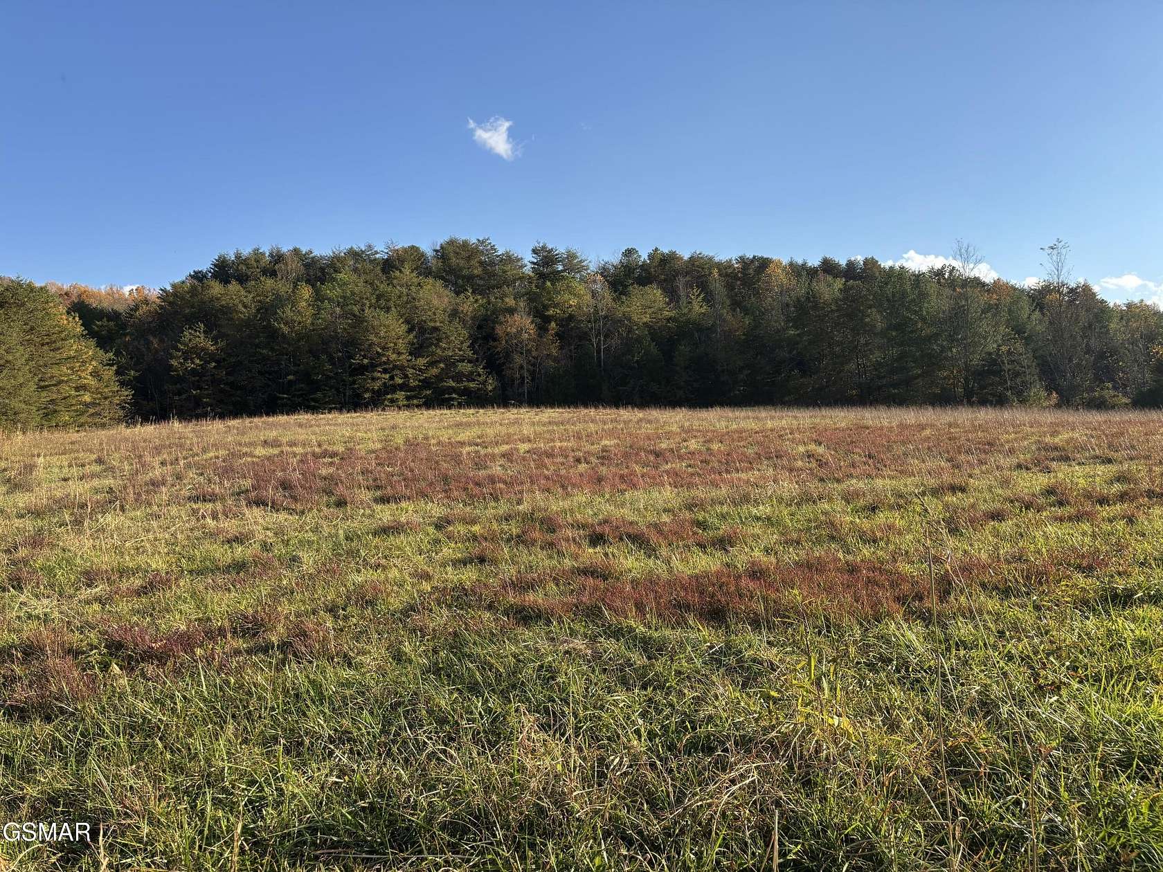 3 Acres of Residential Land for Sale in Parrottsville, Tennessee