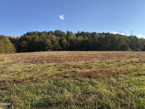 3 Acres of Residential Land for Sale in Parrottsville, Tennessee