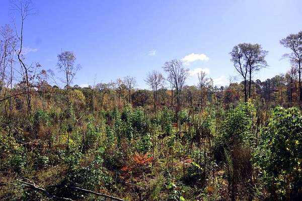 40 Acres of Land for Sale in Sparta, Georgia