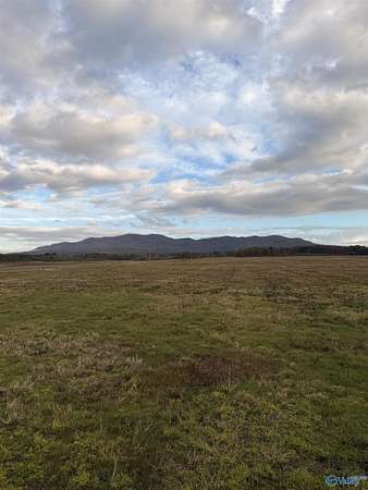 3.9 Acres of Residential Land for Sale in Piedmont, Alabama