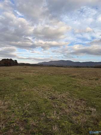 3.9 Acres of Residential Land for Sale in Piedmont, Alabama
