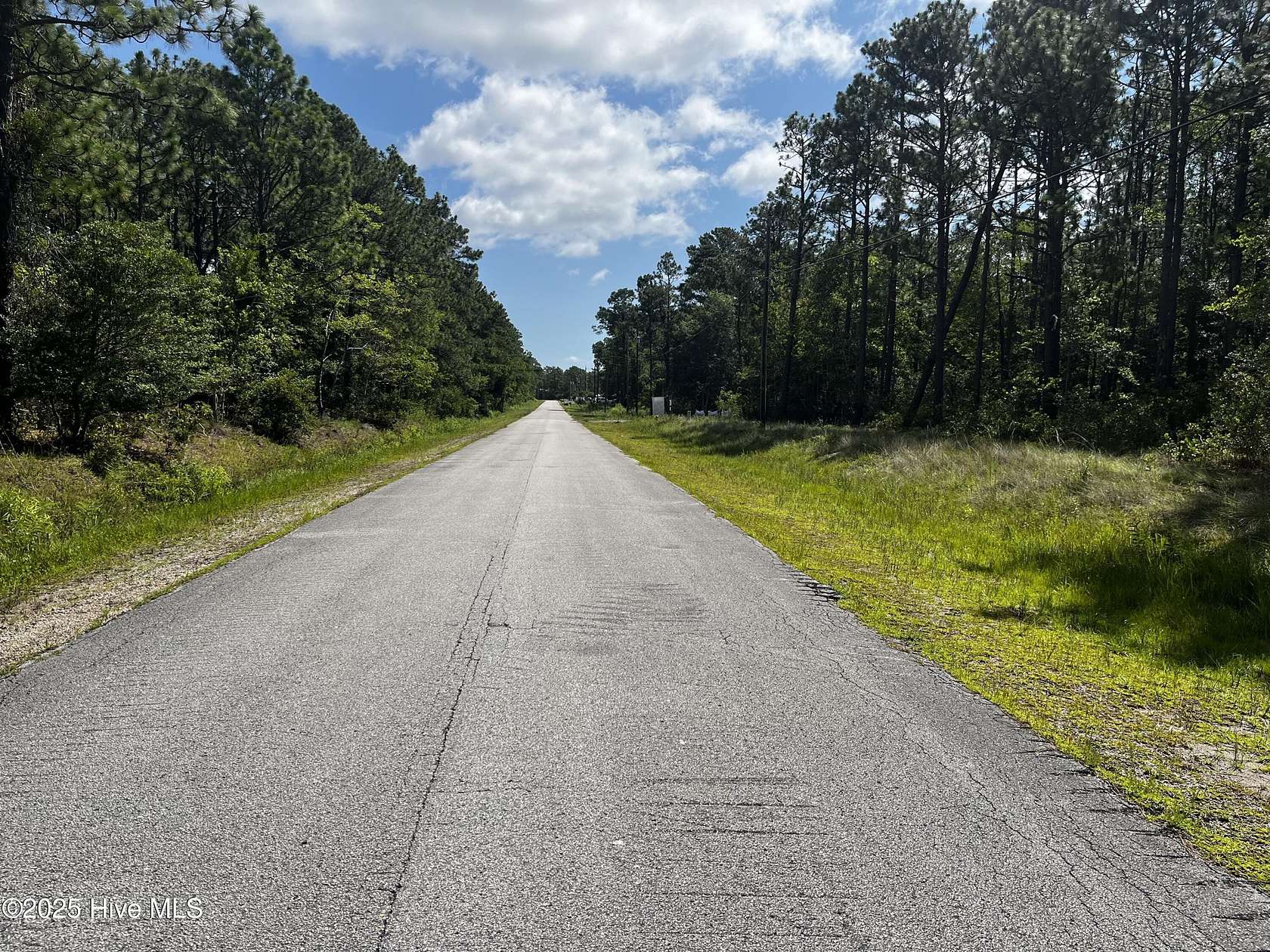 0.2 Acres of Commercial Land for Sale in Boiling Spring Lakes, North Carolina