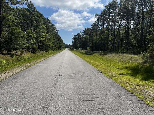 0.2 Acres of Commercial Land for Sale in Boiling Spring Lakes, North Carolina