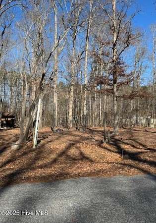 0.5 Acres of Residential Land for Sale in Pinetops, North Carolina