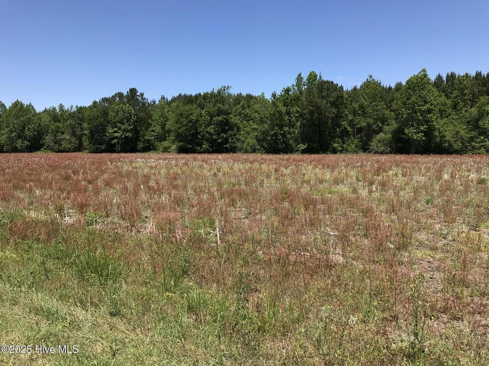 3.65 Acres of Residential Land for Sale in Ash, North Carolina