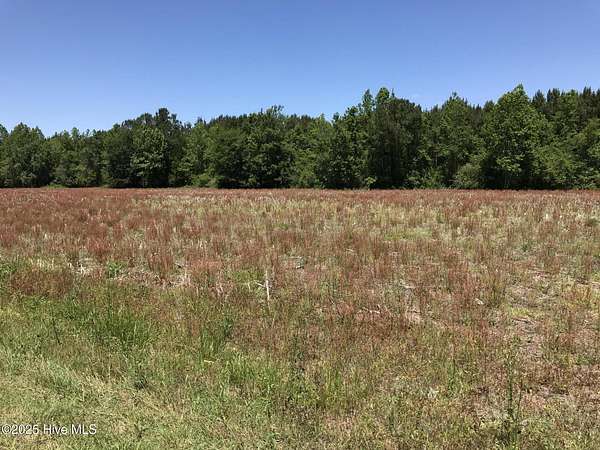 3.65 Acres of Residential Land for Sale in Ash, North Carolina