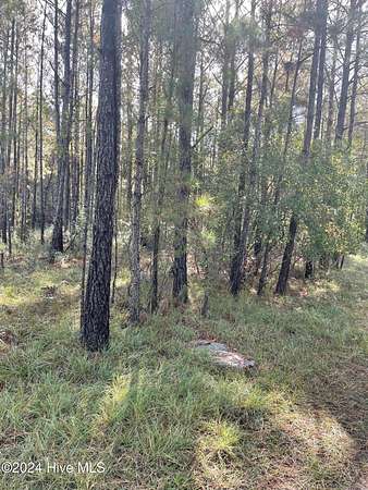 0.19 Acres of Residential Land for Sale in Supply, North Carolina