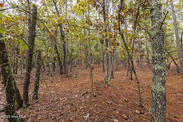 0.51 Acres of Residential Land for Sale in West End, North Carolina