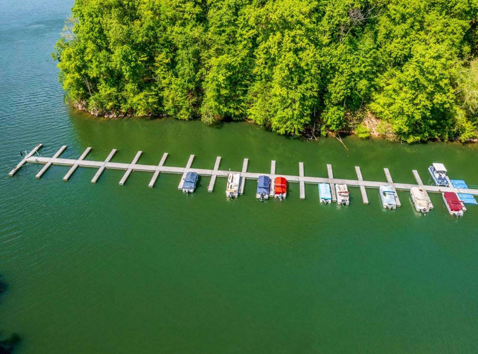 6.1 Acres of Residential Land for Sale in New Tazewell, Tennessee