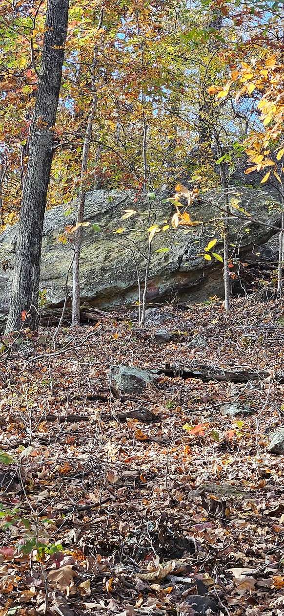 40 Acres of Land with Home for Sale in Equality, Illinois