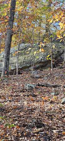 40 Acres of Land with Home for Sale in Equality, Illinois