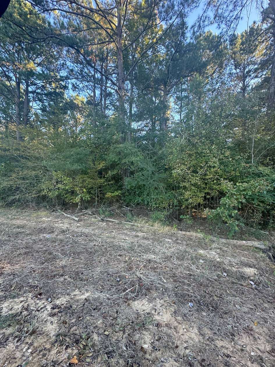 10.2 Acres of Land for Sale in Many, Louisiana