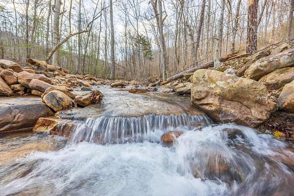 90 Acres of Recreational Land for Sale in Pikeville, Tennessee