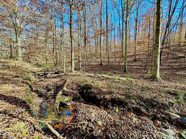 6.22 Acres of Residential Land for Auction in Somerset, Kentucky