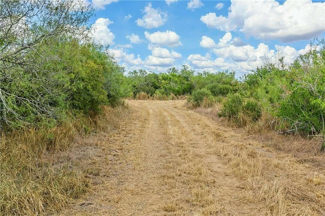 124 Acres of Land for Sale in Alice, Texas