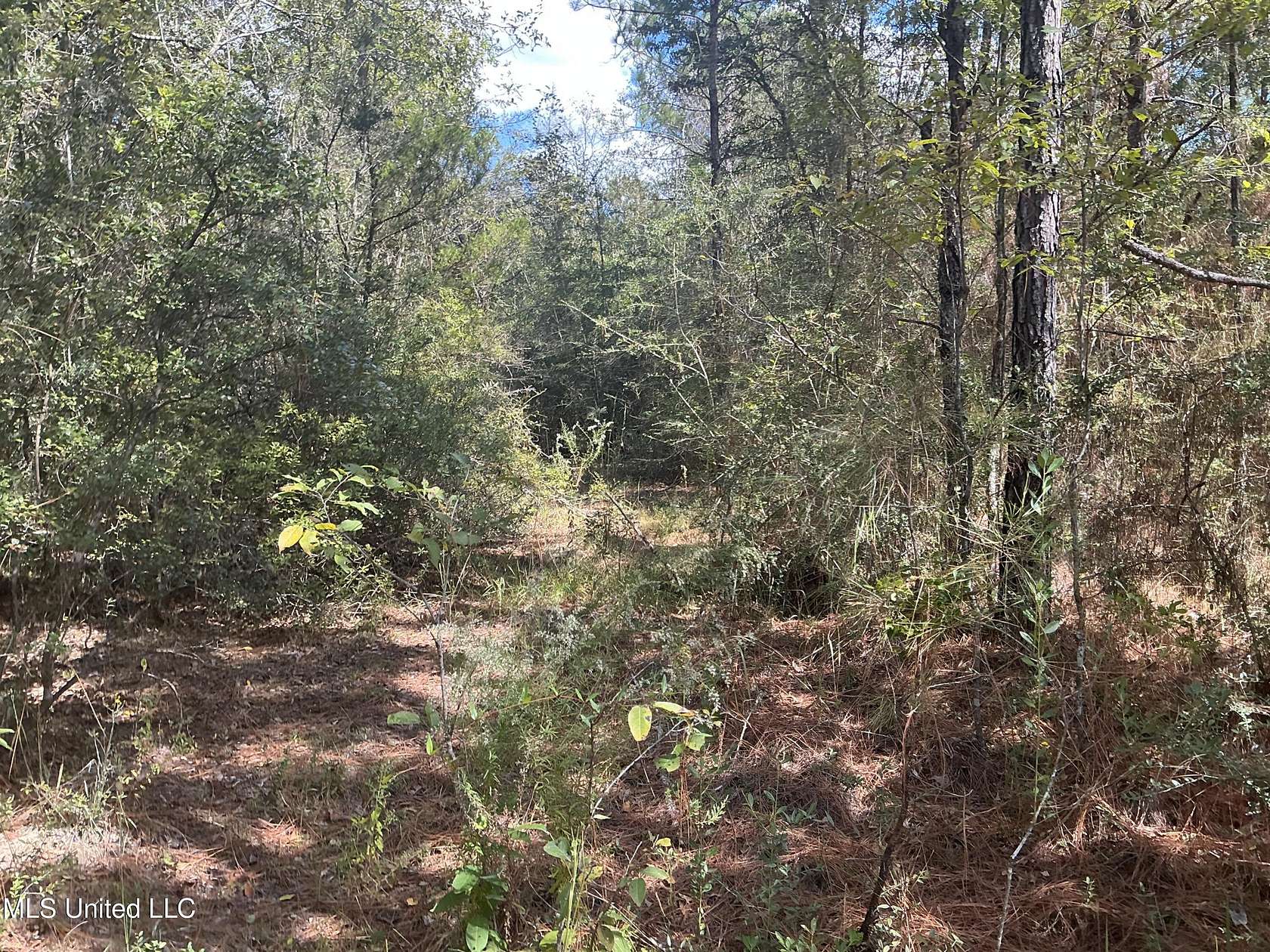 40 Acres of Recreational Land for Sale in Lucedale, Mississippi