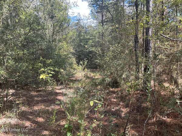 40 Acres of Recreational Land for Sale in Lucedale, Mississippi