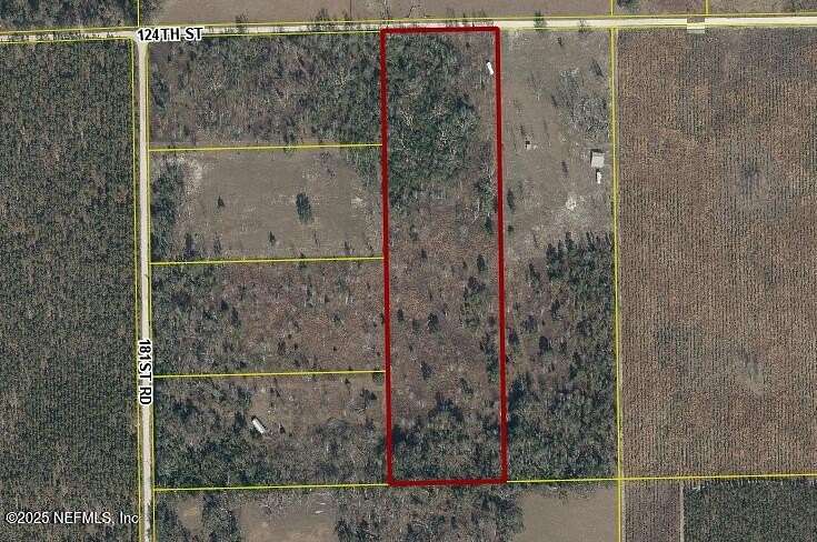 10 Acres of Land for Sale in Live Oak, Florida