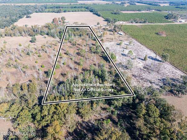 10 Acres of Land for Sale in Live Oak, Florida