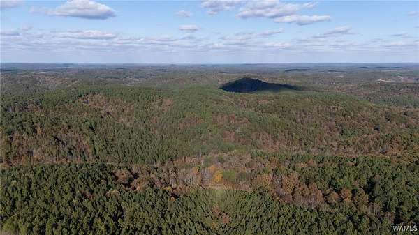 1 Acre of Land for Sale in Berry, Alabama