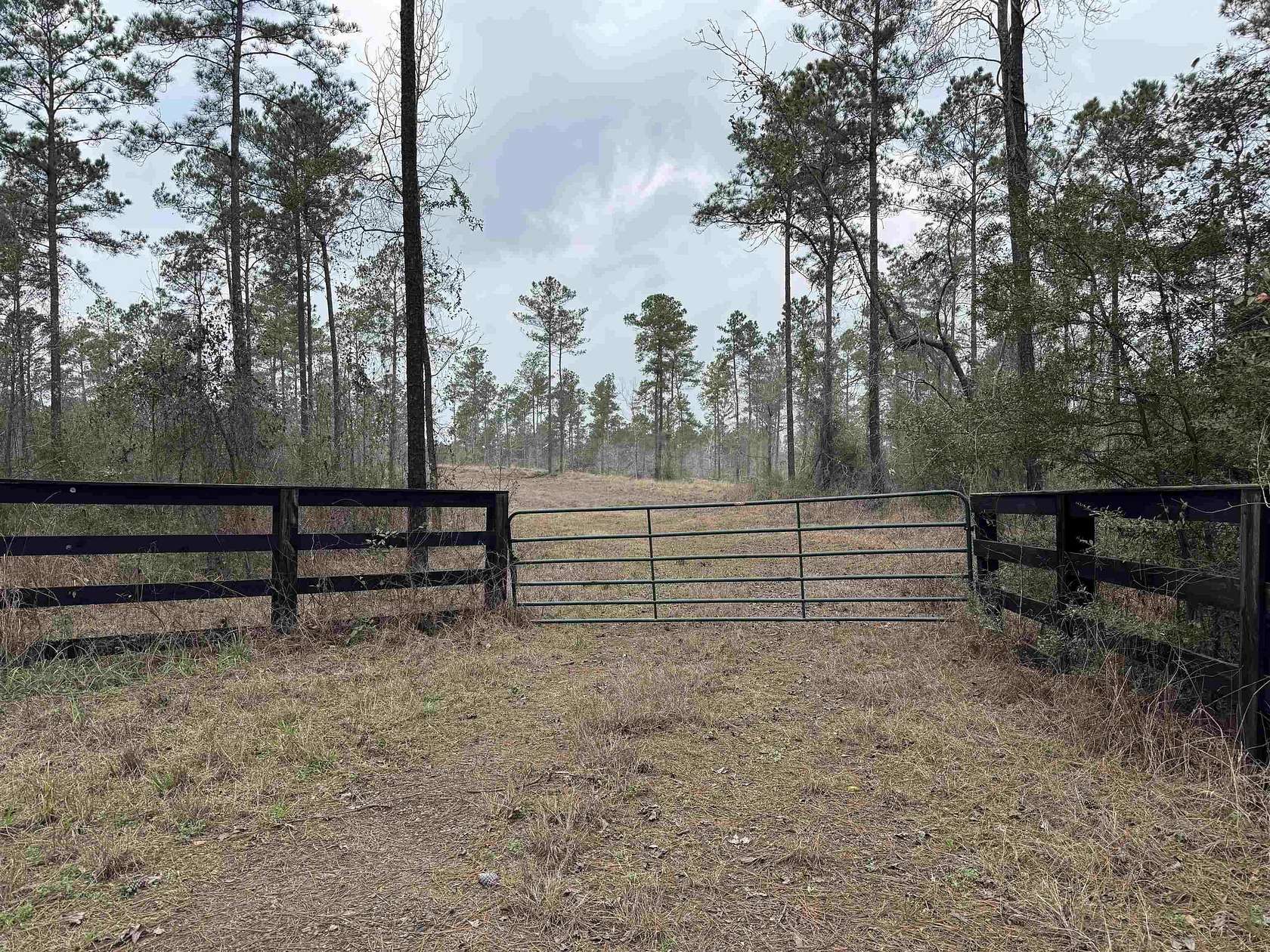 90 Acres of Recreational & Residential Land for Sale in Pineland, Texas