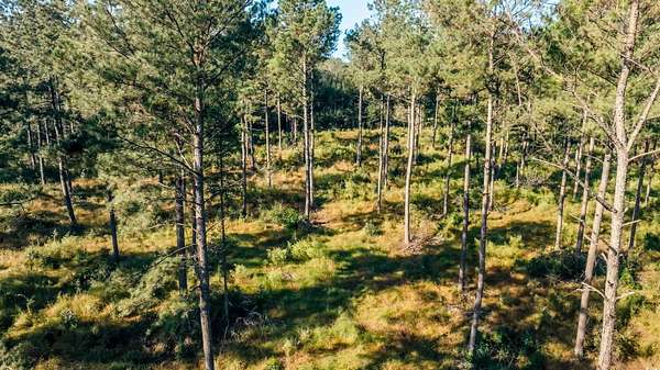 109 Acres of Recreational Land for Sale in Centenary, South Carolina