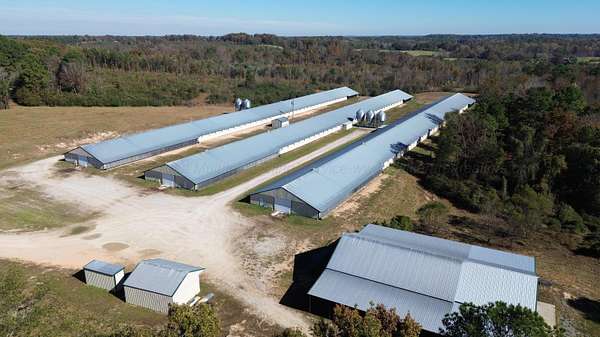 82 Acres of Agricultural Land with Home for Sale in Hackleburg, Alabama