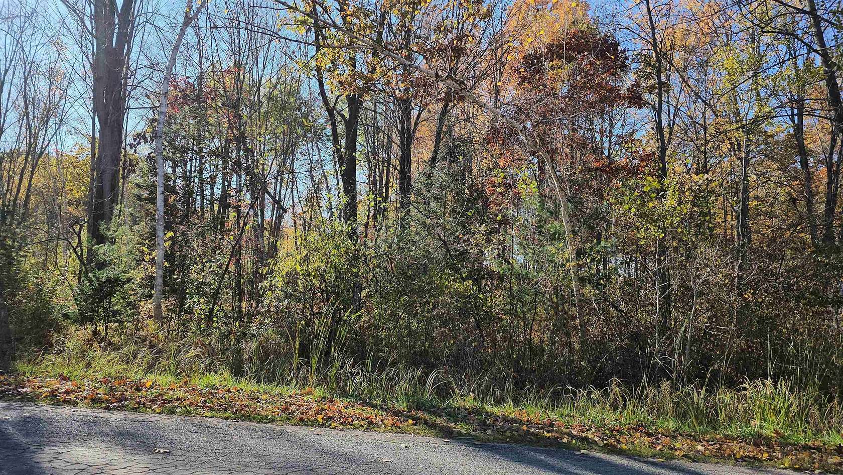 0.43 Acres of Residential Land for Sale in Gladwin, Michigan