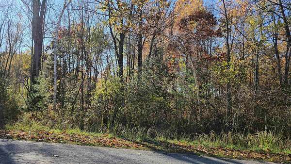 0.43 Acres of Residential Land for Sale in Gladwin, Michigan