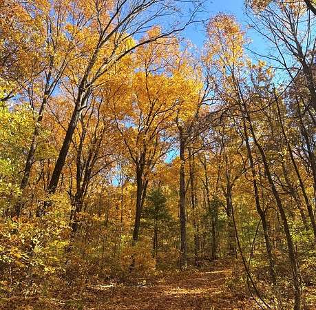 34.5 Acres of Recreational Land for Sale in Chatsworth, Georgia