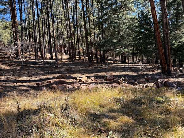 0.6 Acres of Residential Land for Sale in Chama, New Mexico