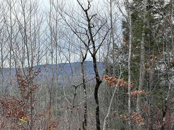 43 Acres of Recreational & Residential Land for Sale in Abbot, Maine
