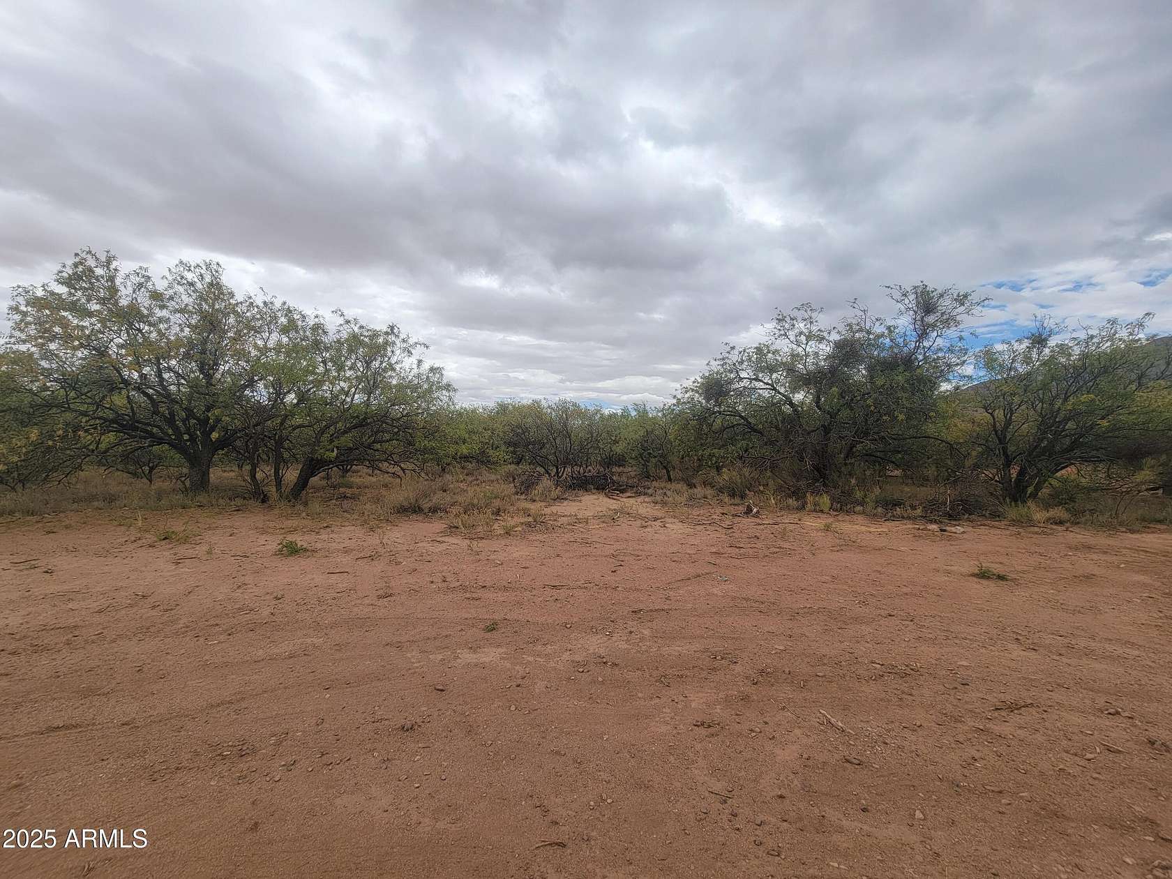 1.17 Acres of Residential Land for Sale in Hereford, Arizona