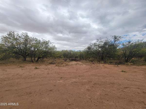 1.17 Acres of Residential Land for Sale in Hereford, Arizona