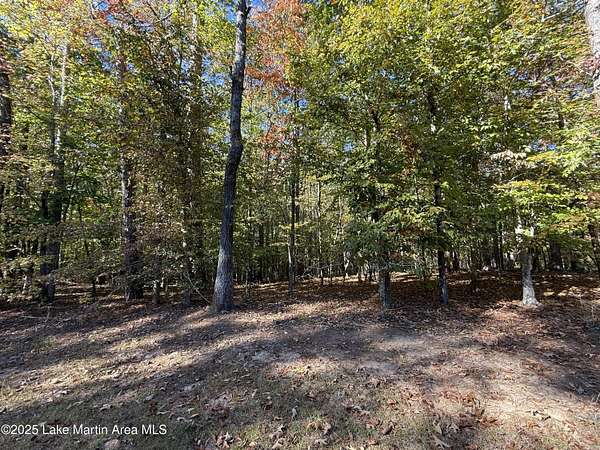 Land for Sale in Dadeville, Alabama
