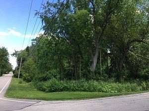 0.29 Acres of Residential Land for Sale in Lisle, Illinois