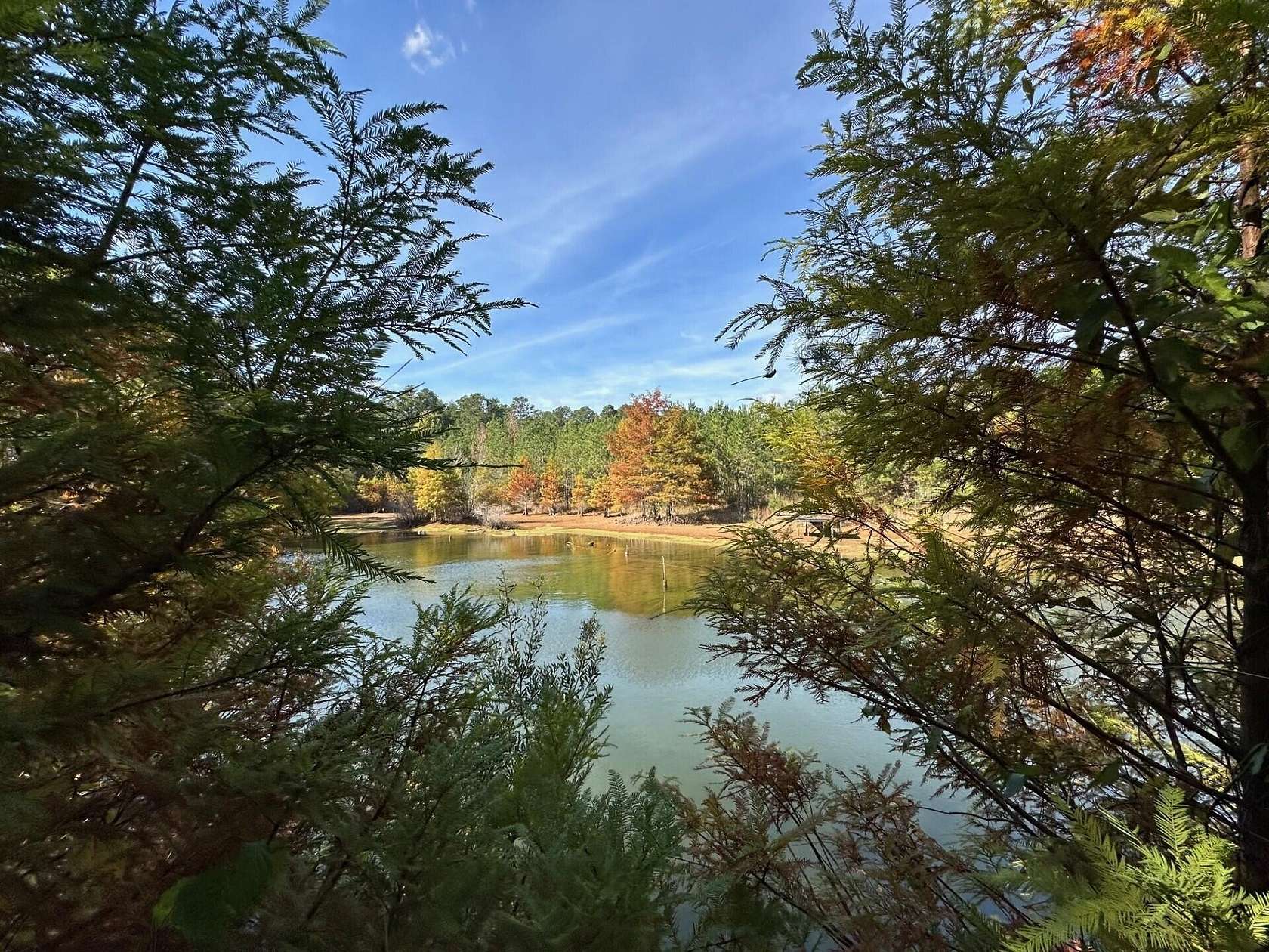 22.5 Acres of Recreational Land for Sale in Decatur, Mississippi