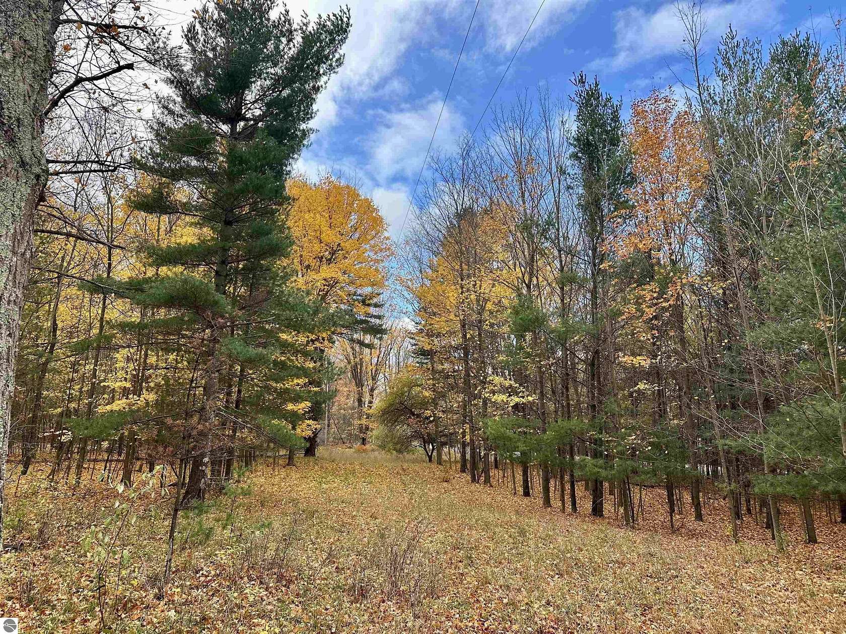 3.64 Acres of Residential Land for Sale in Empire, Michigan