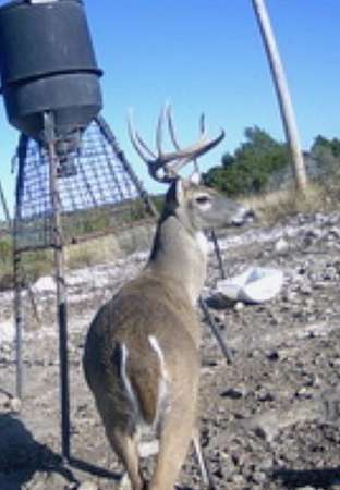 155 Acres of Land for Sale in Rocksprings, Texas